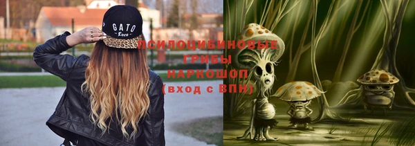 мдпв Володарск