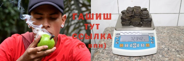 дмт Бородино