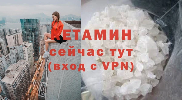 мдпв Володарск