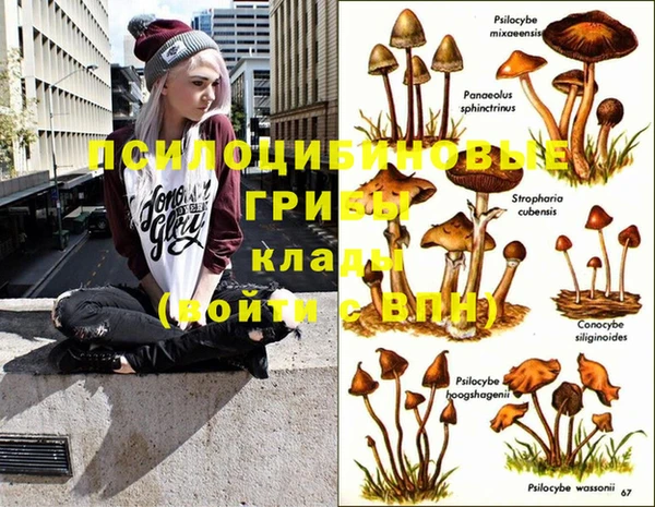 таблы Верхний Тагил